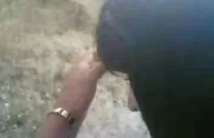 XXX 18 वर्षीय मुलगी, स्वत: ला milf मांजर