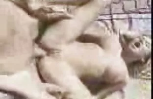 XXX गरम मिरपूड banged गुद्द्वार असफल न होणारे whores
