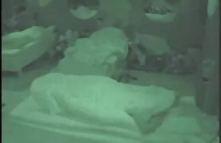 XXX रशियन माणूस भिरकावतो स्त्री पुरुष समागम झिंगलेला रूममेट