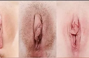 XXX फाडून टाकले आणि मांजर प्रती बारीक पिल्ले